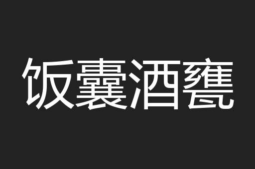 饭囊酒甕
