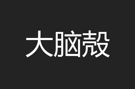 大脑殻