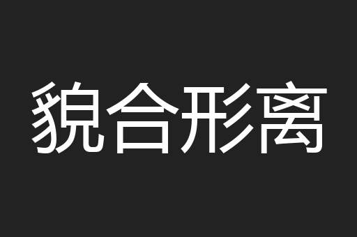 貌合形离