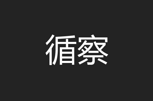 循察