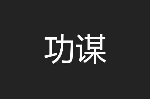 功谋