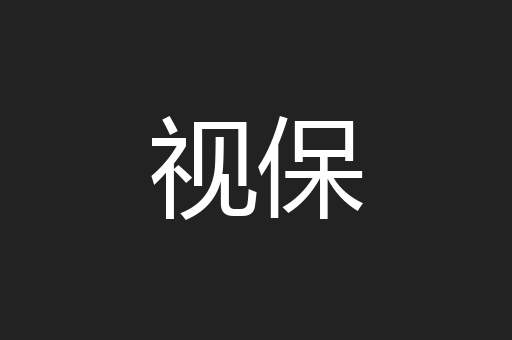 视保