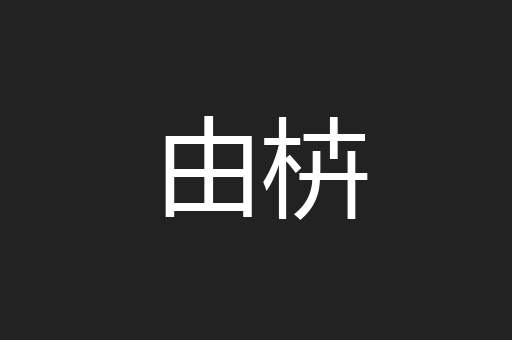 由枿