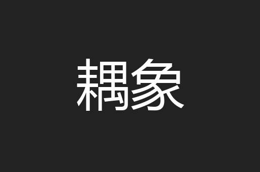 耦象