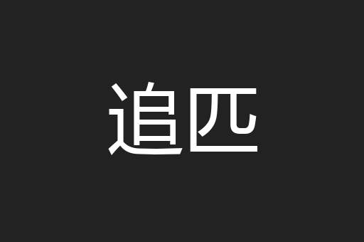 追匹