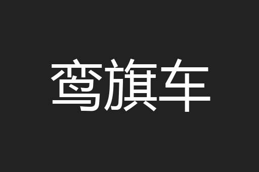鸾旗车