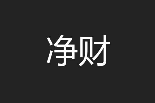 净财