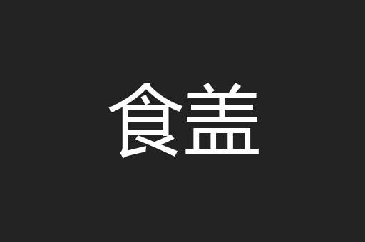 食盖