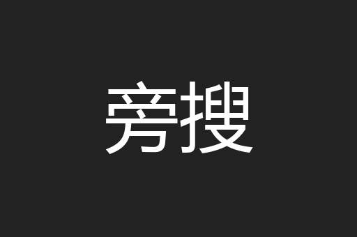 旁搜