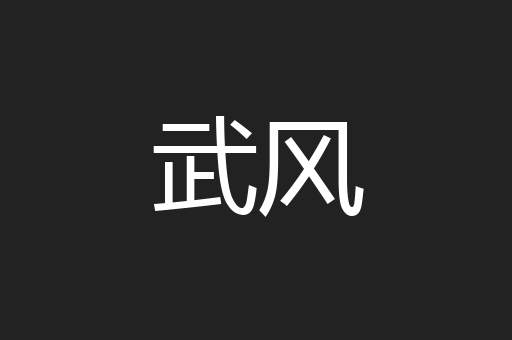 武风