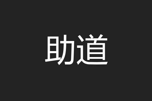 助道