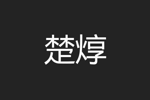 楚焞