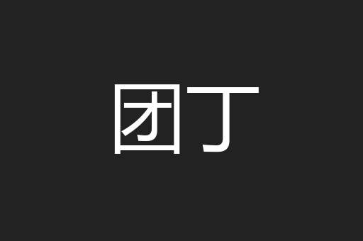 团丁