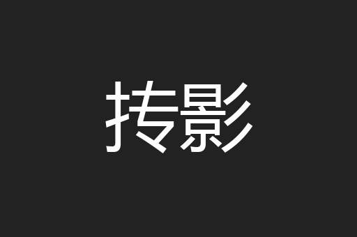 抟影