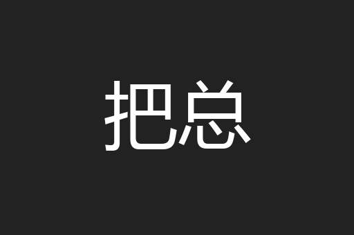 把总