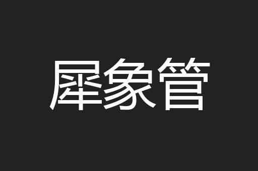 犀象管
