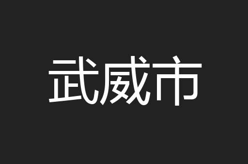 武威市