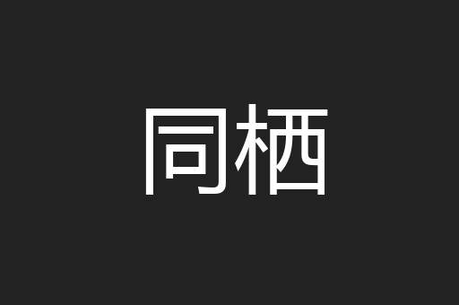同栖