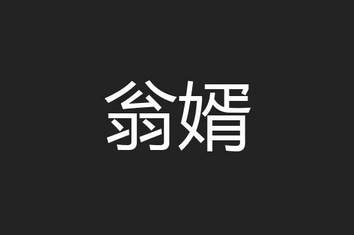 翁婿