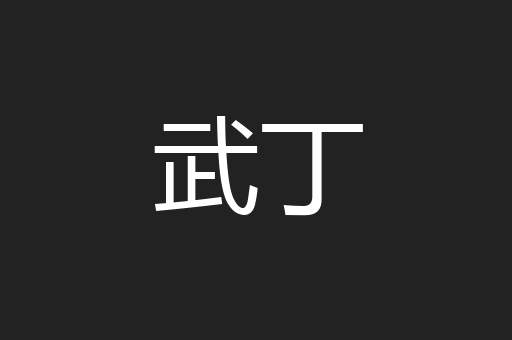 武丁