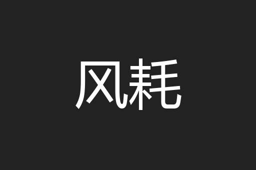 风耗