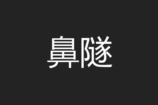 鼻隧