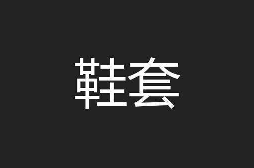 鞋套