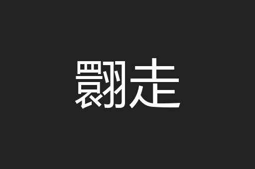 翾走