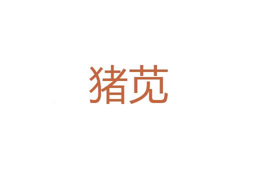 儹造