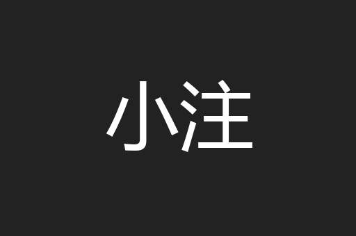 小注