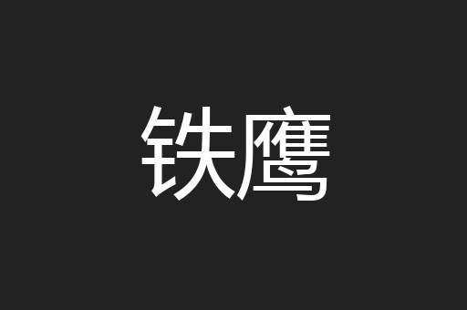 铁鹰