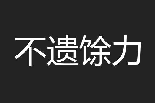 不遗馀力