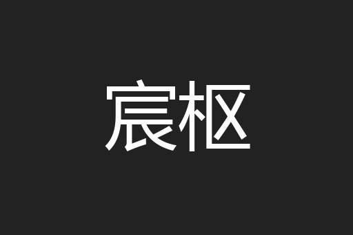 宸枢
