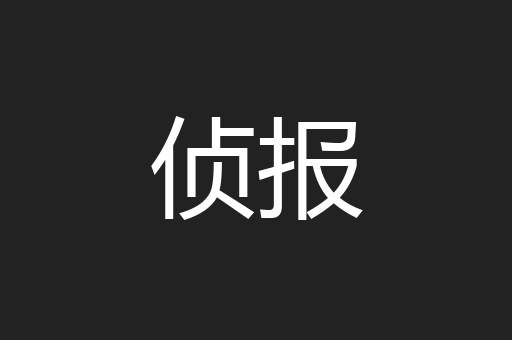 侦报