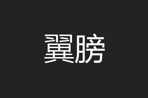 翼膀