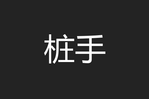 桩手