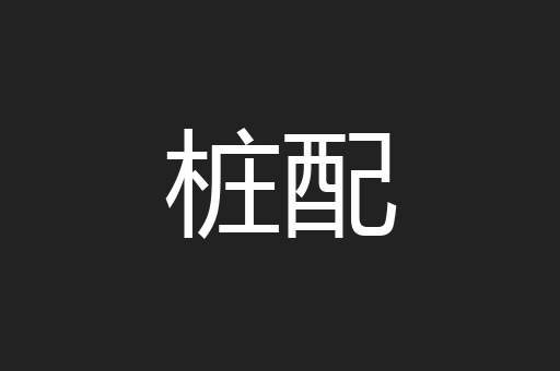 桩配
