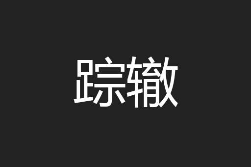 踪辙