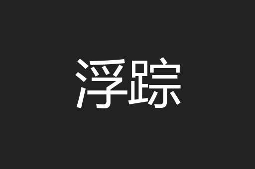 浮踪