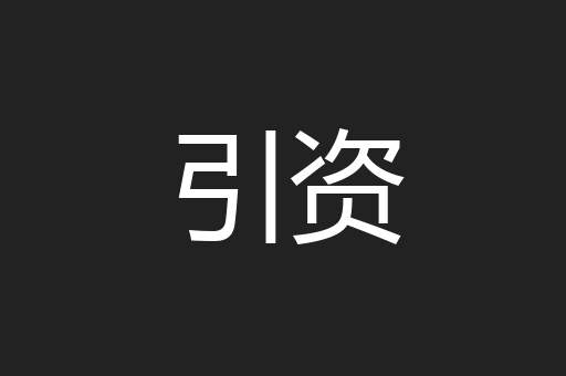 引资