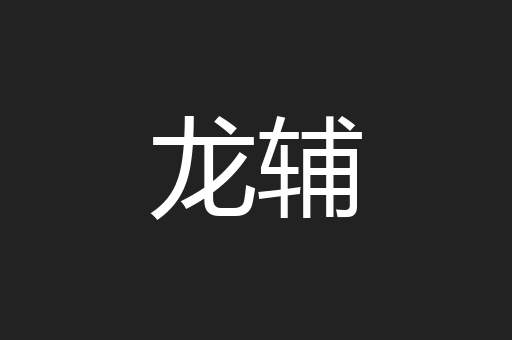 龙辅