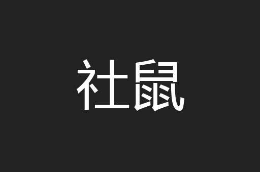 社鼠