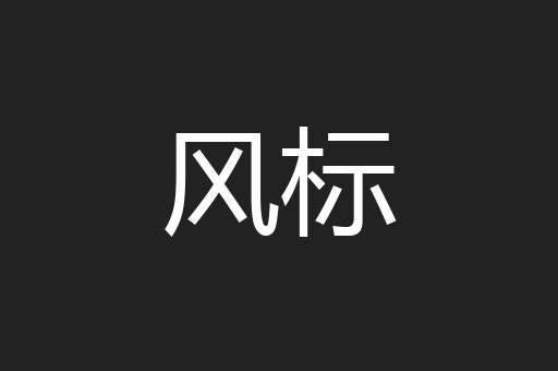 风标