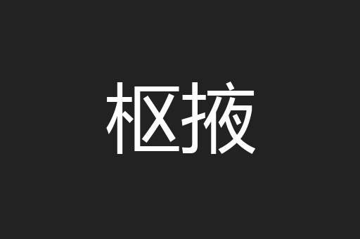 枢掖