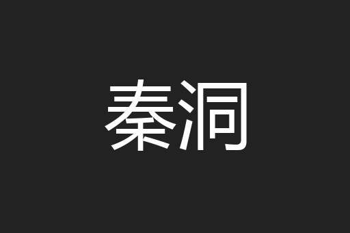 秦洞
