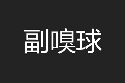 副嗅球