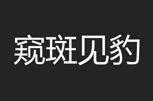 窥斑见豹