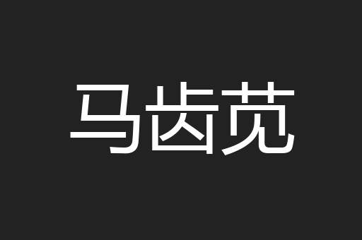 马齿苋