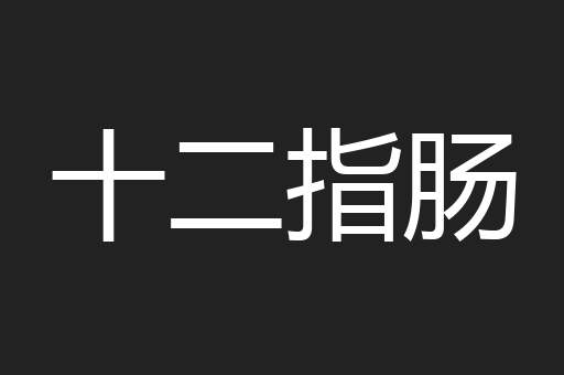 十二指肠