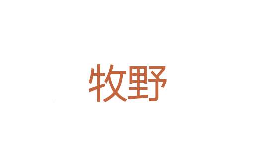 自诩